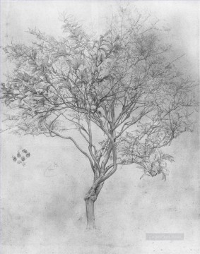  tree Works - Study of a Lemon Tree Academicism Frederic Leighton